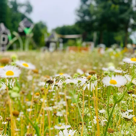 公寓式酒店 Gyoengy 佐洛卡罗斯