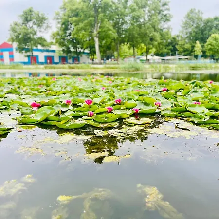 Gyoengy 佐洛卡罗斯