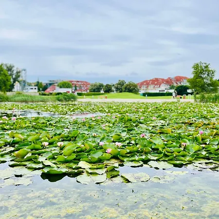 Gyoengy 4* Zalakaros