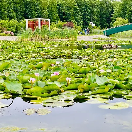 Gyoengy 公寓式酒店