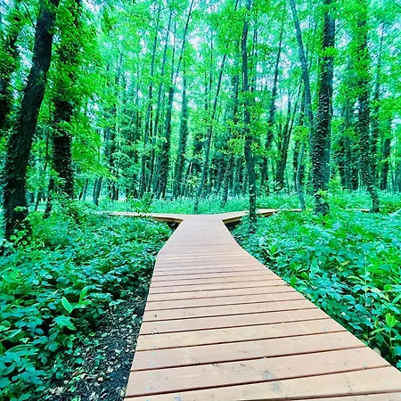 Gyoengy 4* Zalakaros