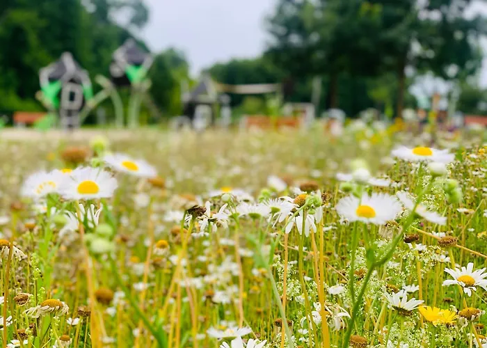 Apart Otel Gyoengy Zalakaros