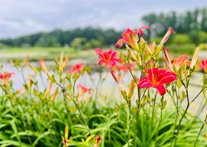 Apart Otel Gyoengy 4*