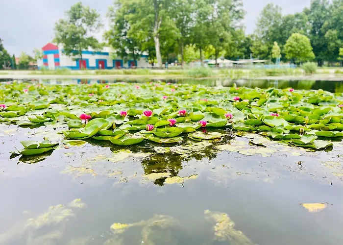 Gyoengy 佐洛卡罗斯