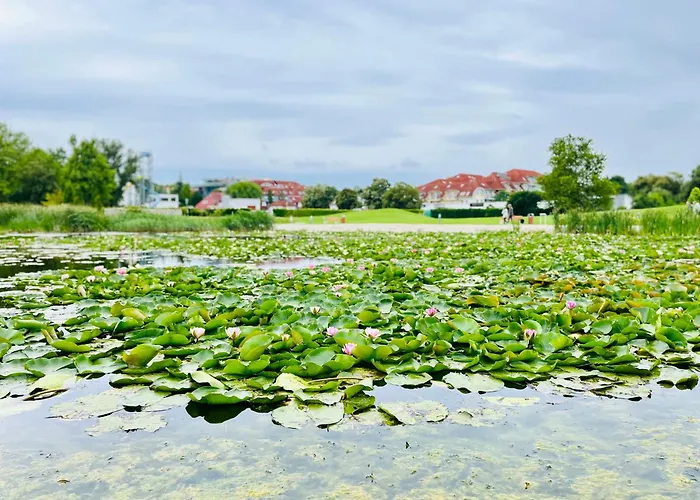 Gyoengy 4* Zalakaros