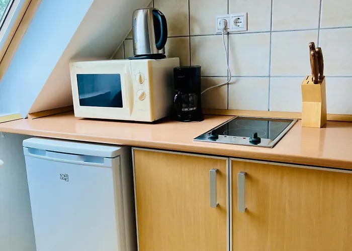 Gyoengy 4* 佐洛卡罗斯