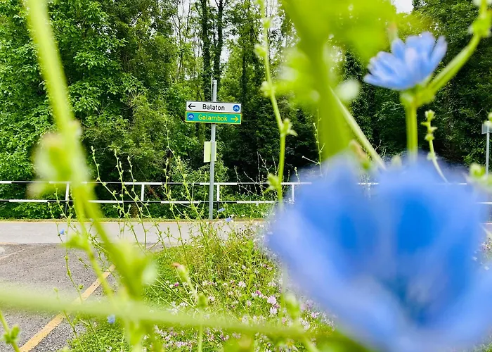 公寓式酒店 Gyoengy 4*