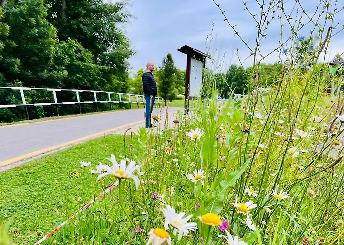 Gyoengy 公寓式酒店 佐洛卡罗斯