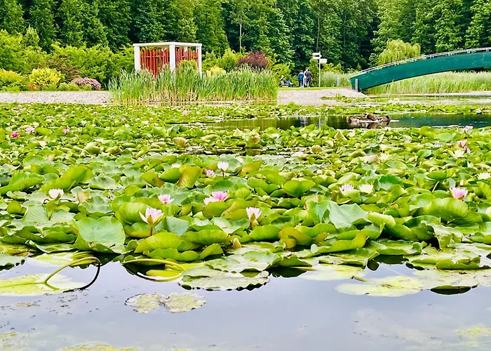 Gyoengy 公寓式酒店