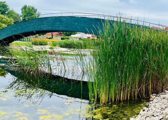 公寓式酒店 Gyoengy 佐洛卡罗斯