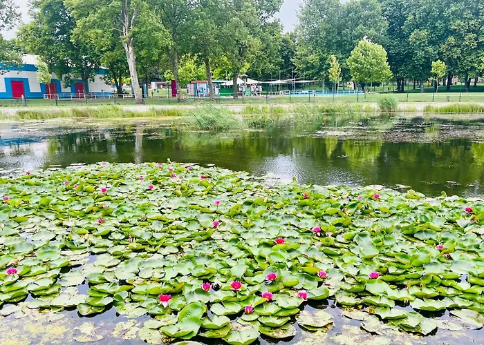 Gyoengy 佐洛卡罗斯