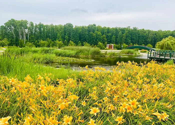 Gyoengy 4* Zalakaros