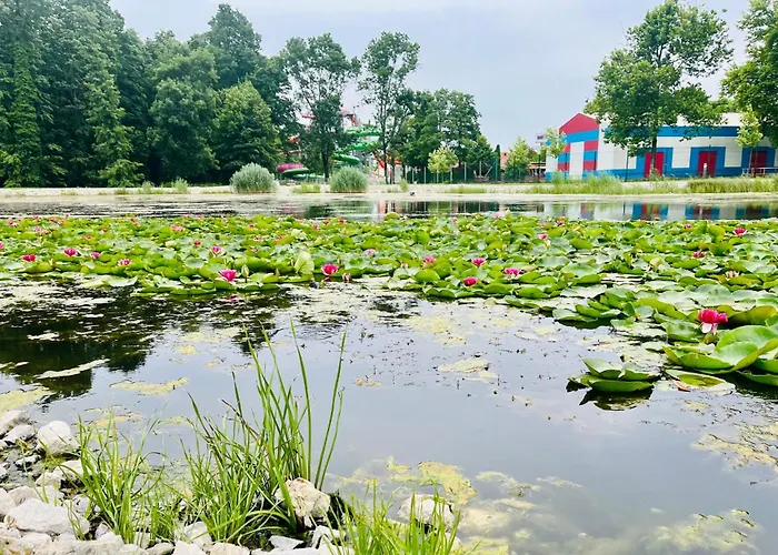 Apart Otel Gyoengy 4*