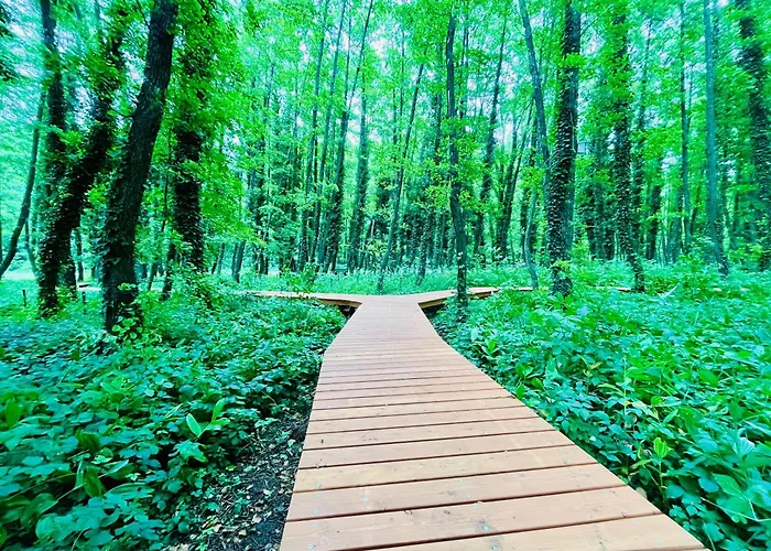 Gyoengy 4* Zalakaros